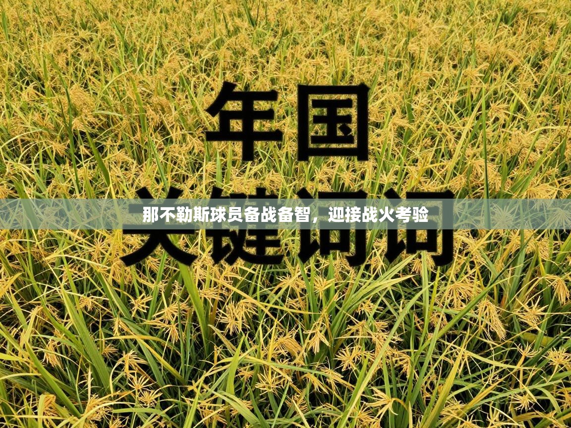 那不勒斯球员备战备智，迎接战火考验  第1张